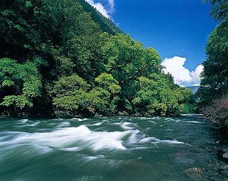 双人合作恐怖解谜游戏《怨念》上线Steam 今年8月发售